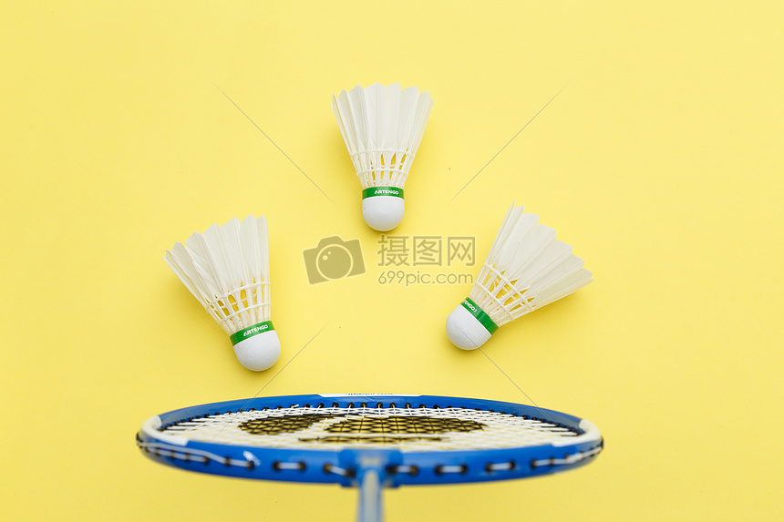 本赛季的表 本赛季的表